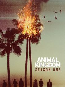 Animal Kingdom Saison 1 en streaming