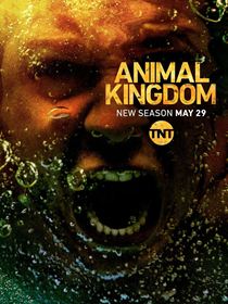 Animal Kingdom Saison 3 en streaming
