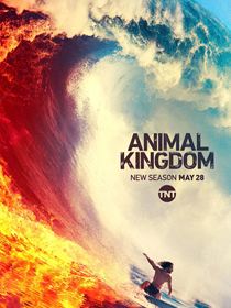 Animal Kingdom Saison 4 en streaming