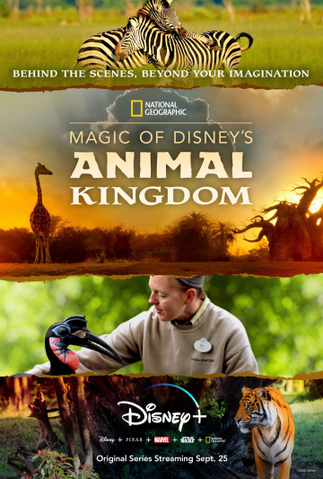 Au cœur de Disney’s Animal Kingdom Saison 1 en streaming