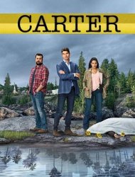 Carter Saison 1 en streaming