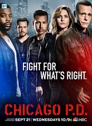 Chicago PD Saison 4 en streaming