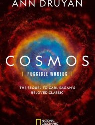 Cosmos: Possible Worlds Saison 1 en streaming