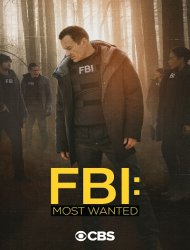 FBI: Most Wanted Saison 2 en streaming