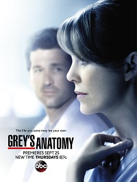 Grey's Anatomy Saison 11 en streaming