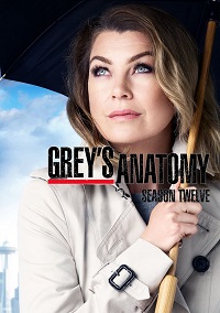 Grey's Anatomy Saison 12 en streaming