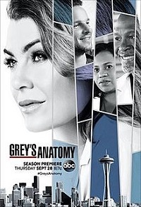 Grey's Anatomy Saison 14 en streaming