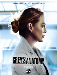 Grey's Anatomy Saison 17 en streaming