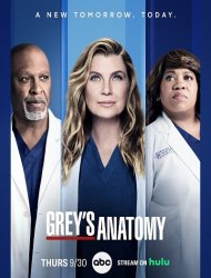 Grey's Anatomy Saison 21 en streaming