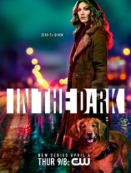 In the Dark (2019) Saison 1 en streaming