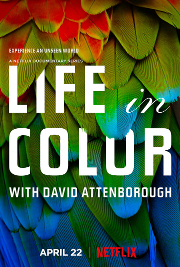 La Vie en couleurs avec David Attenborough Saison 1 en streaming