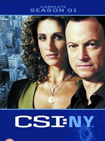 Les Experts : Manhattan Saison 1 en streaming