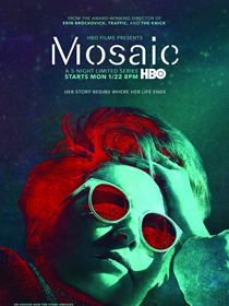 Mosaic Saison 1 en streaming