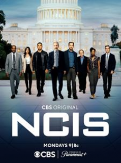 NCIS : Enquêtes spéciales Saison 20 en streaming
