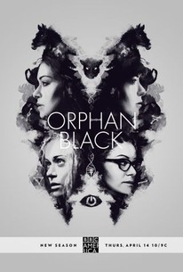 Orphan Black Saison 4 en streaming