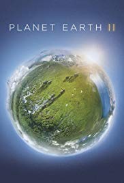 Planète Terre II Saison 1 en streaming