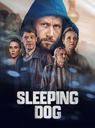 Sleeping Dog Saison 1 en streaming