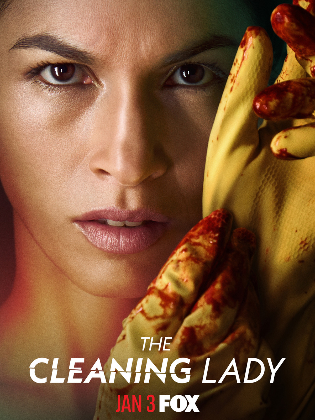 The Cleaning Lady Saison 1 en streaming