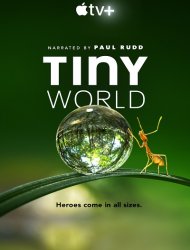 Tiny World Saison 1 en streaming