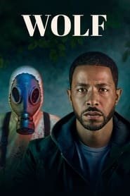 Wolf Saison 1 en streaming