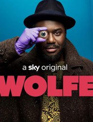 Wolfe Saison 1 en streaming